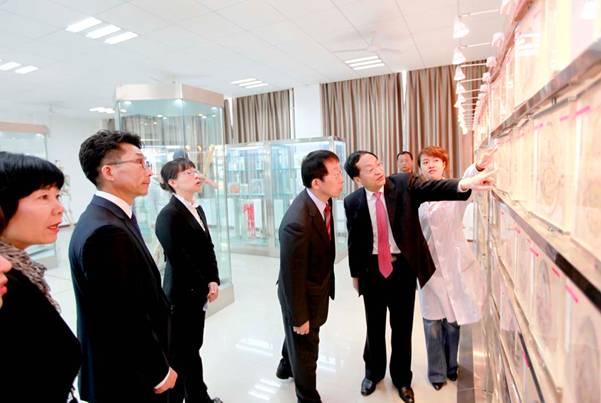 http://www.xianyangzhiyuan.cn/__local/6/79/11/403E88CFAF89A6AECBE8F34F73C_C50B39C4_16D87.jpg